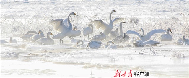 201909201568948275497404.jpg 1.jpg