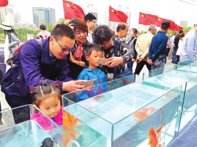 長假期間,有趣的活動吸引了市民圍觀 長假期間,有趣的活動吸引了市民圍觀