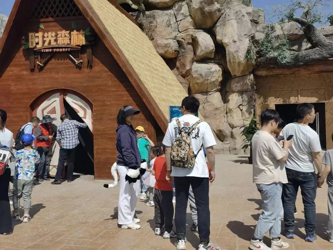 202305041683161941100122.jpg 3.jpg