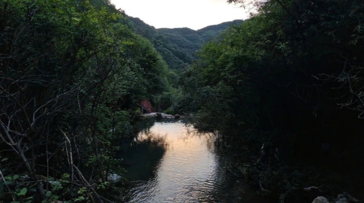 202504171744850162788471.jpg 微信圖片_20250417083243_副本.jpg