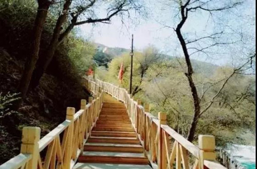 13_副本.jpg 13_副本.jpg